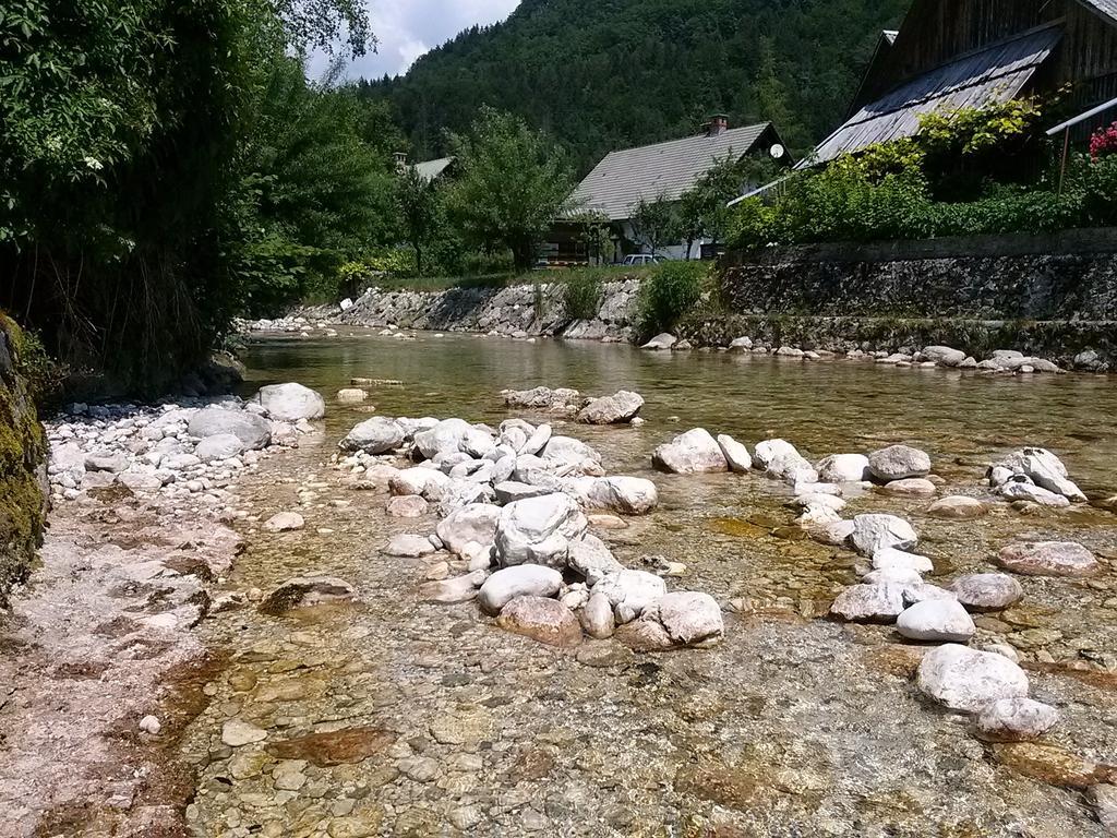 Hiska Henrik Zalokar Διαμέρισμα Bohinj Δωμάτιο φωτογραφία