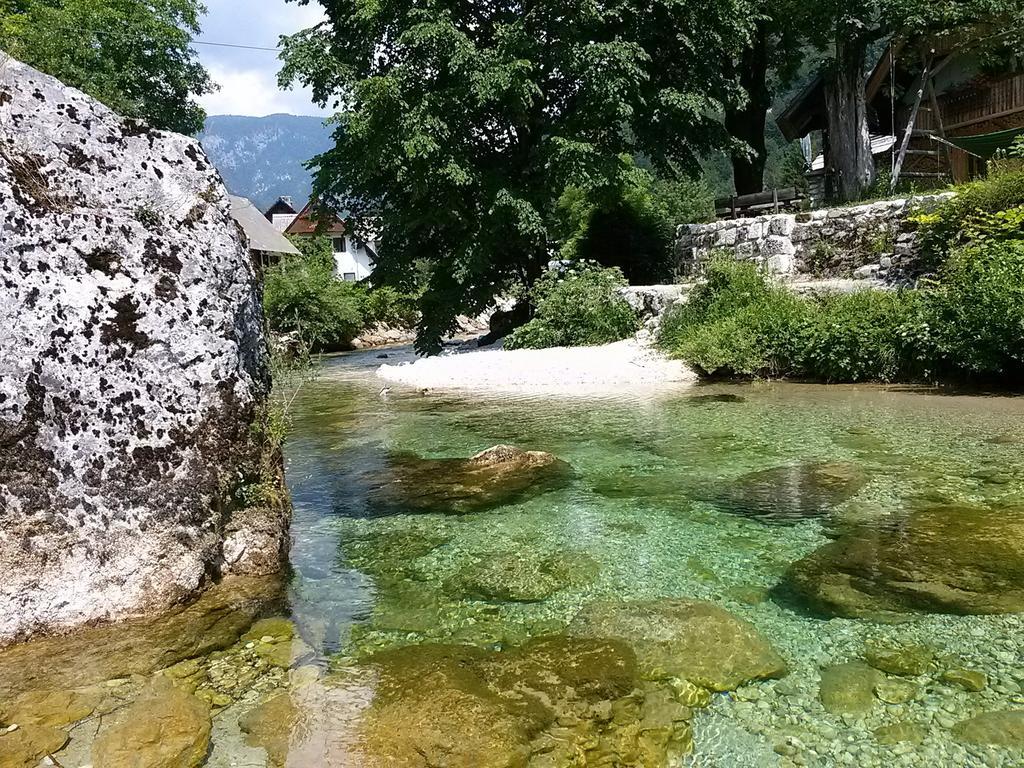 Hiska Henrik Zalokar Διαμέρισμα Bohinj Εξωτερικό φωτογραφία