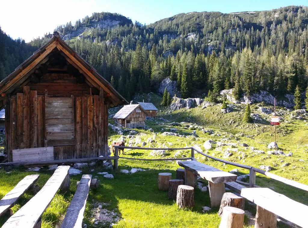 Hiska Henrik Zalokar Διαμέρισμα Bohinj Δωμάτιο φωτογραφία