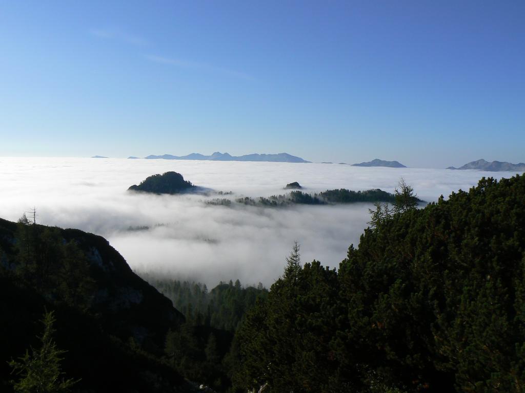 Hiska Henrik Zalokar Διαμέρισμα Bohinj Δωμάτιο φωτογραφία