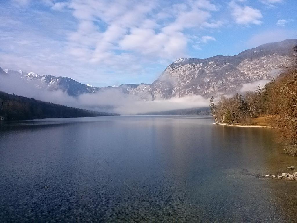 Hiska Henrik Zalokar Διαμέρισμα Bohinj Εξωτερικό φωτογραφία