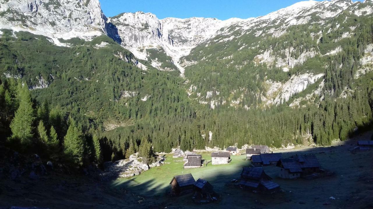 Hiska Henrik Zalokar Διαμέρισμα Bohinj Εξωτερικό φωτογραφία