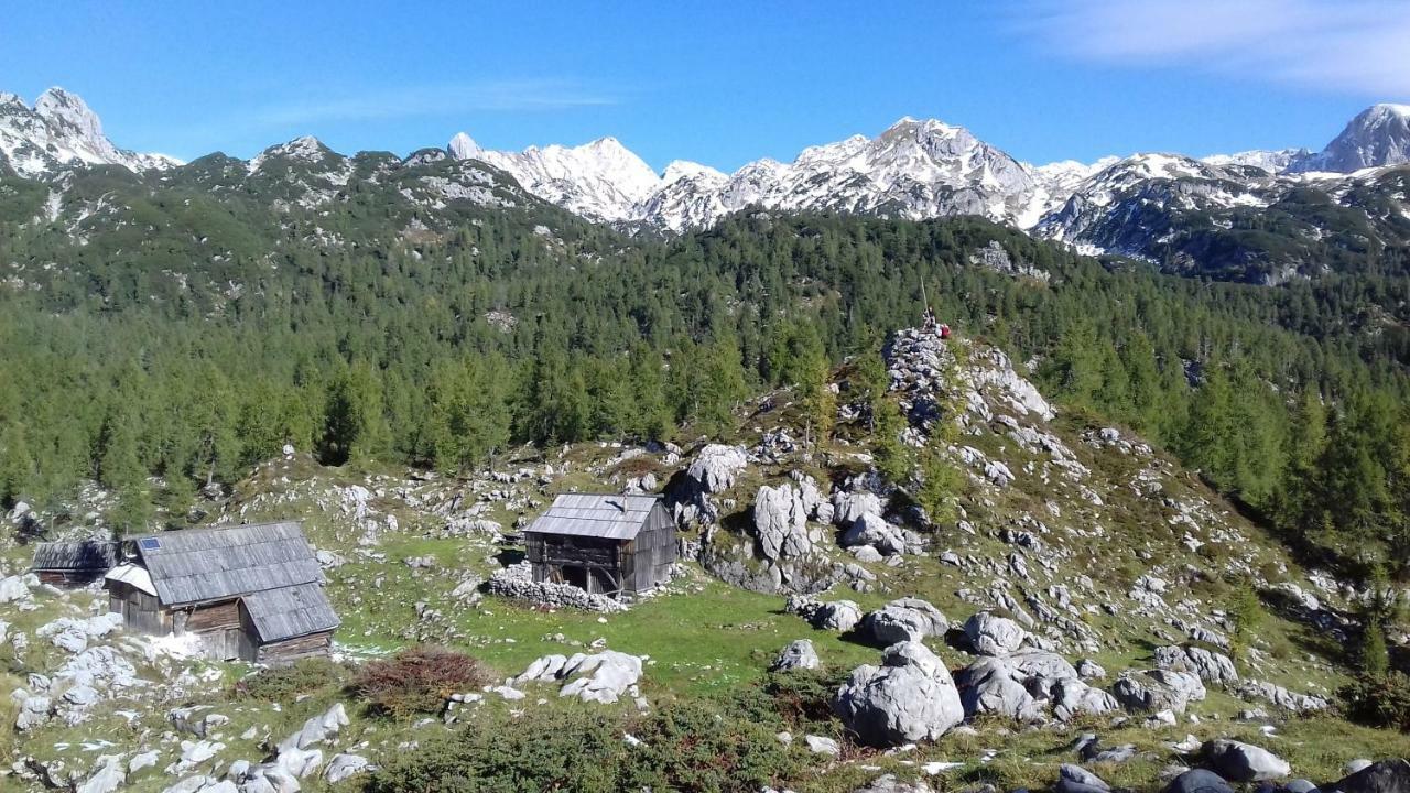 Hiska Henrik Zalokar Διαμέρισμα Bohinj Εξωτερικό φωτογραφία