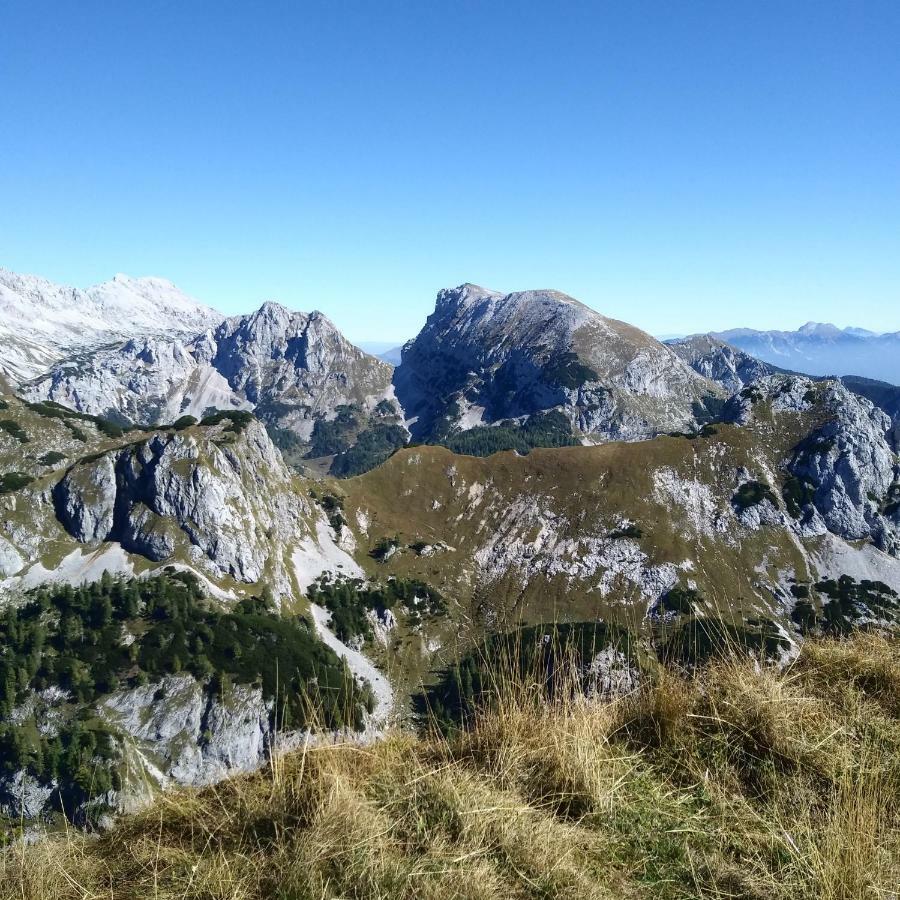 Hiska Henrik Zalokar Διαμέρισμα Bohinj Εξωτερικό φωτογραφία